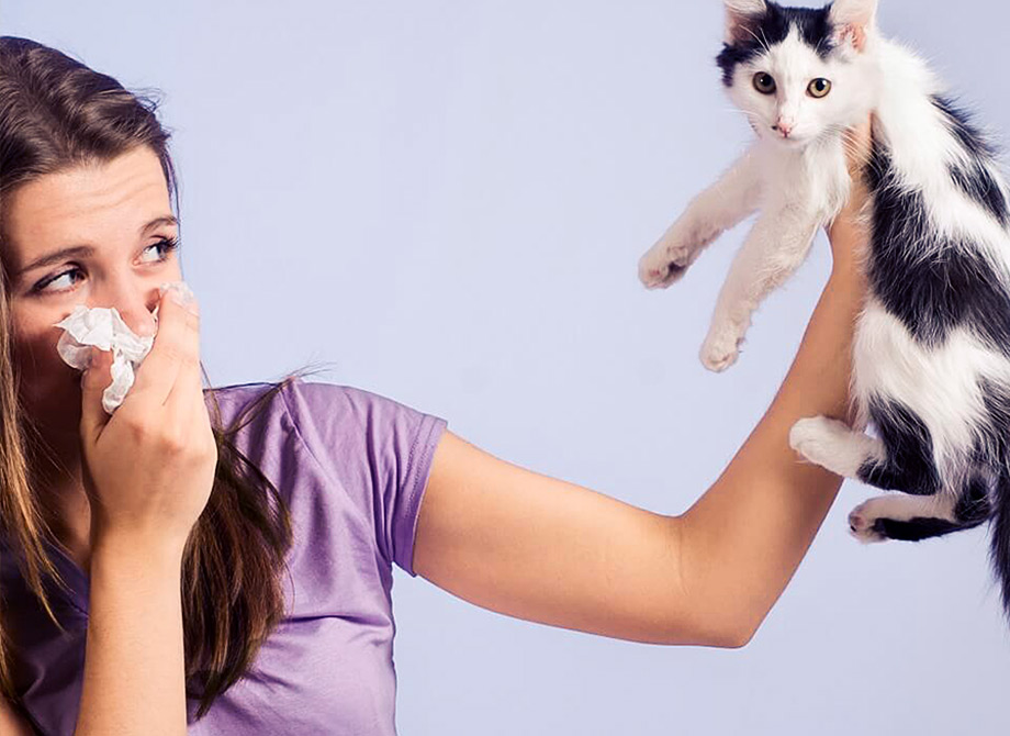 Аллервэй | Советы при аллергической реакции на шерсть домашних животных